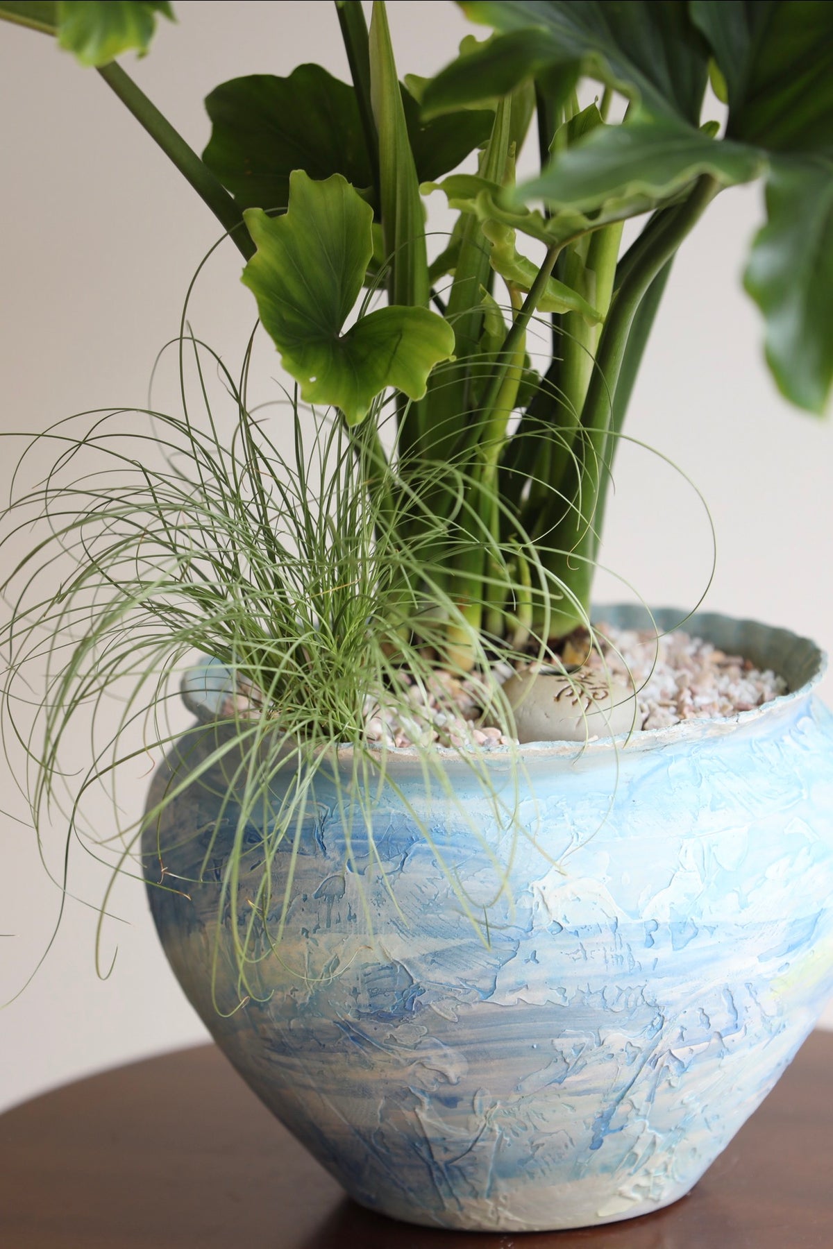 Emerald Waves — Philodendron Hope Planter | 68cm x 72cm