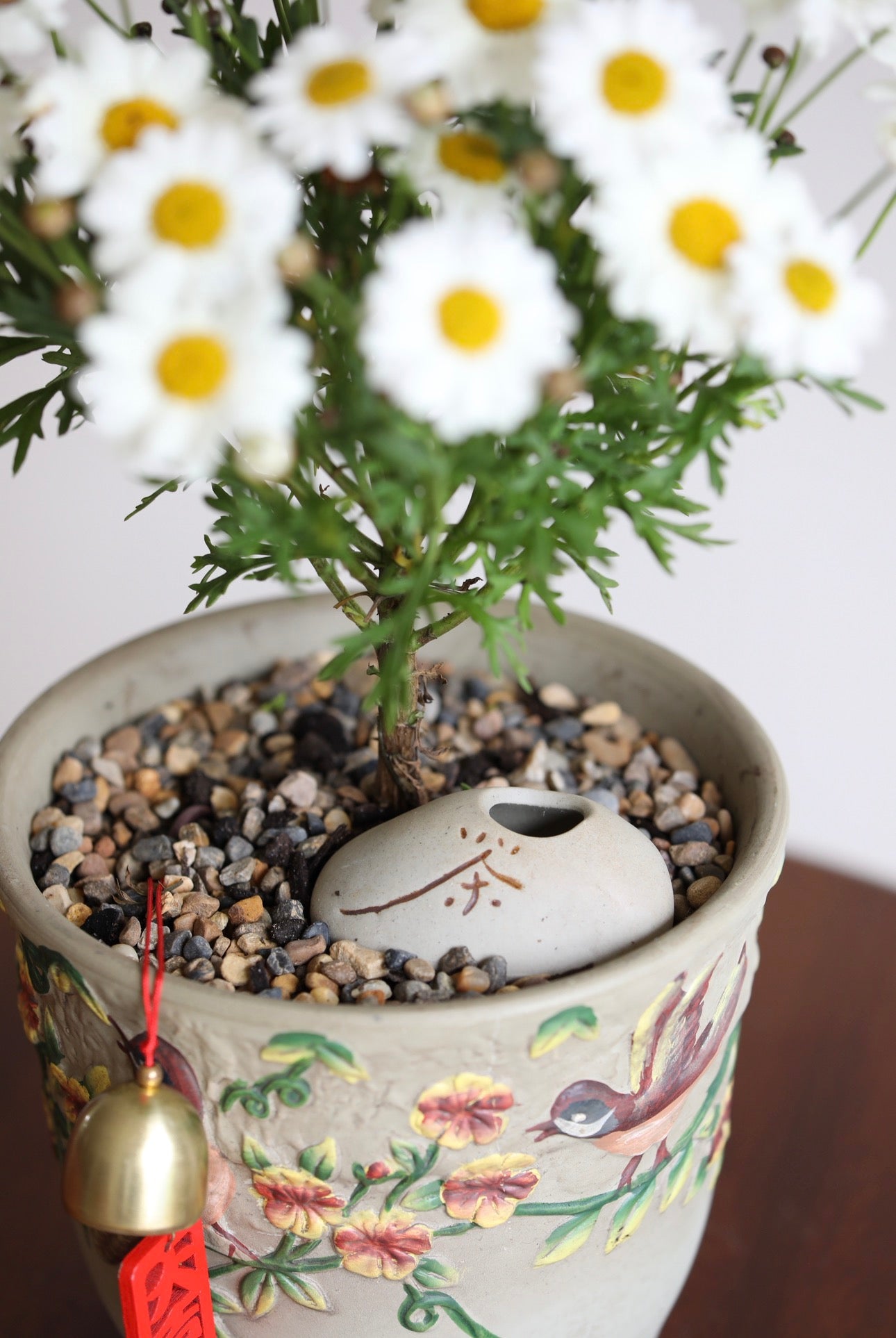 Sunny Meadow — White Marguerite Daisy Planter | 36cm × 26cm