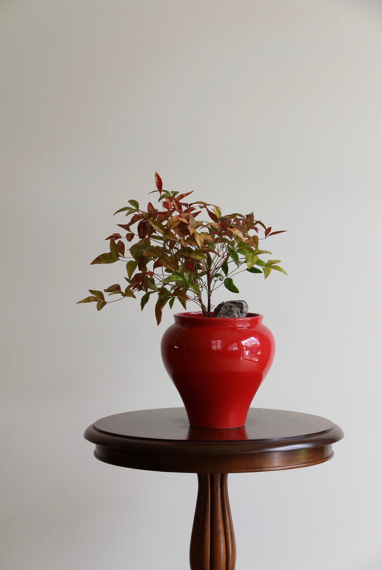 Outback Red — Nandina Planter | 42cm × 36cm