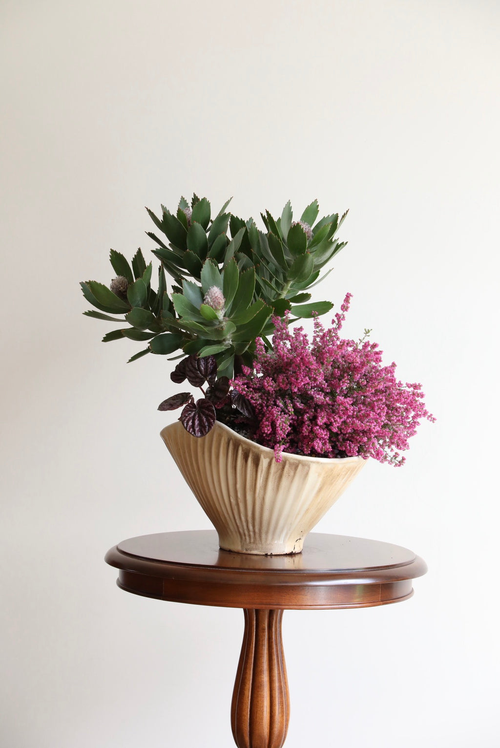 Coastal Wild — Leucospermum & Erica Planter | 50cm × 46cm