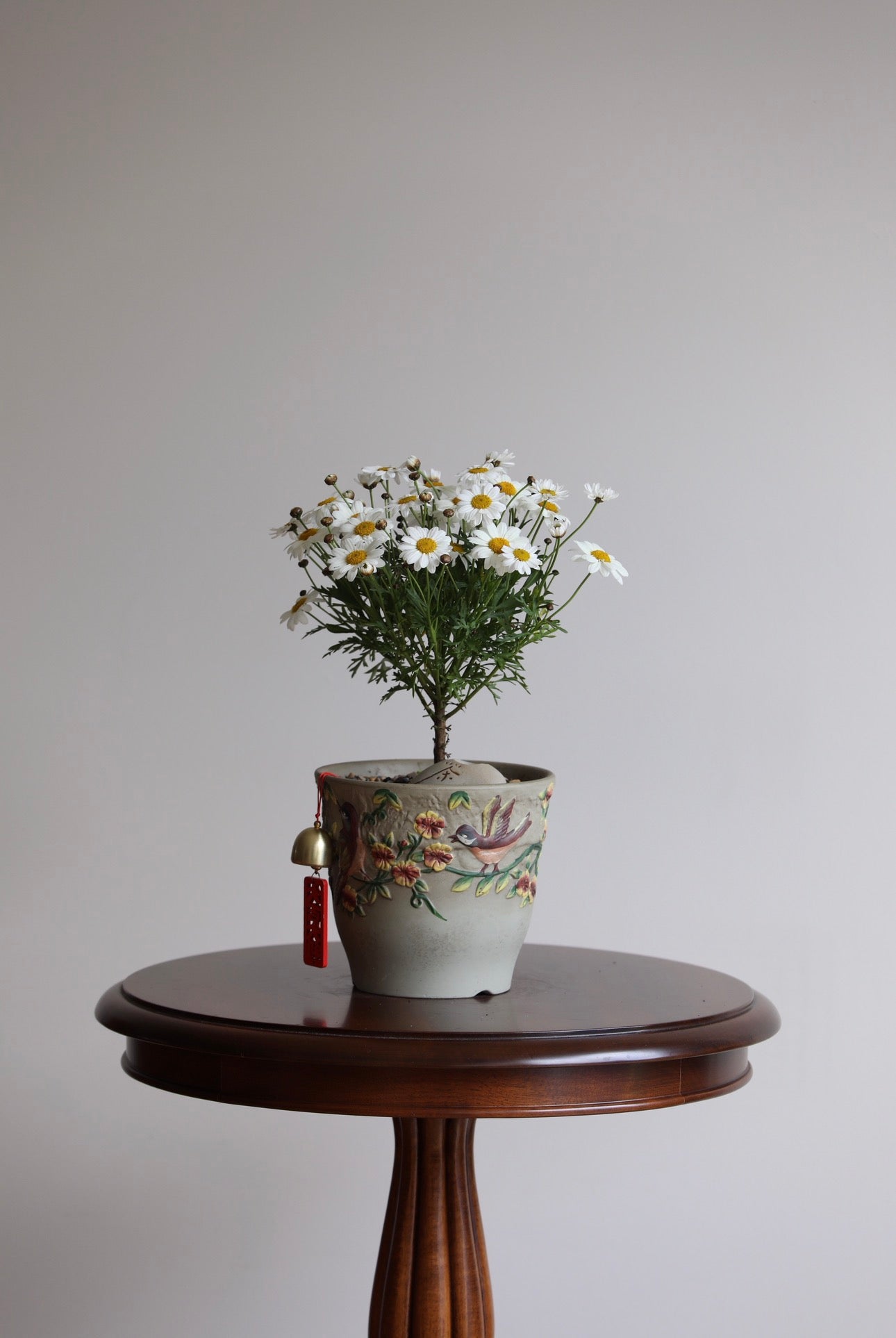 Sunny Meadow — White Marguerite Daisy Planter | 36cm × 26cm