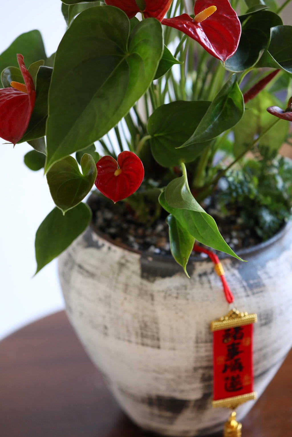 Crimson Blessing – Anthurium Arrangement | 52cm × 46cm