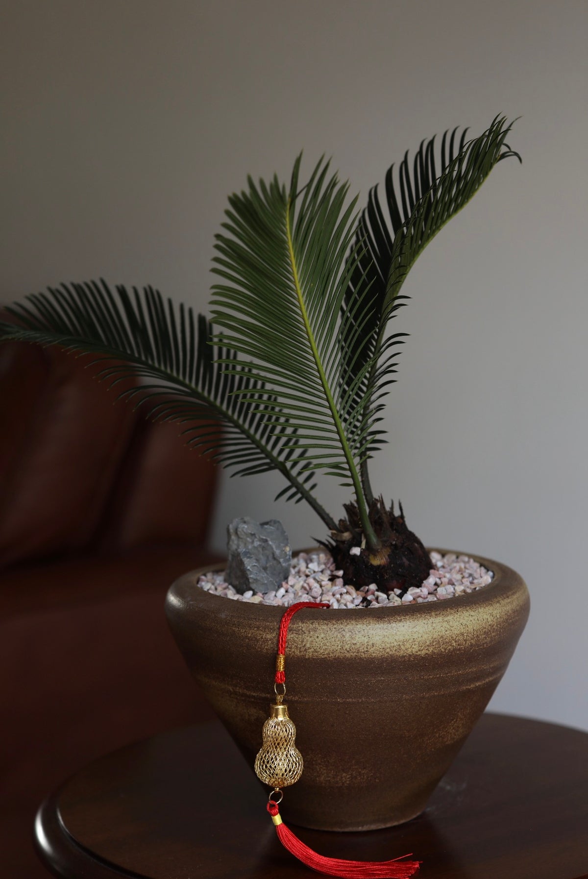 Golden Fortune — Sago Palm Planter | 46cm x 38cm