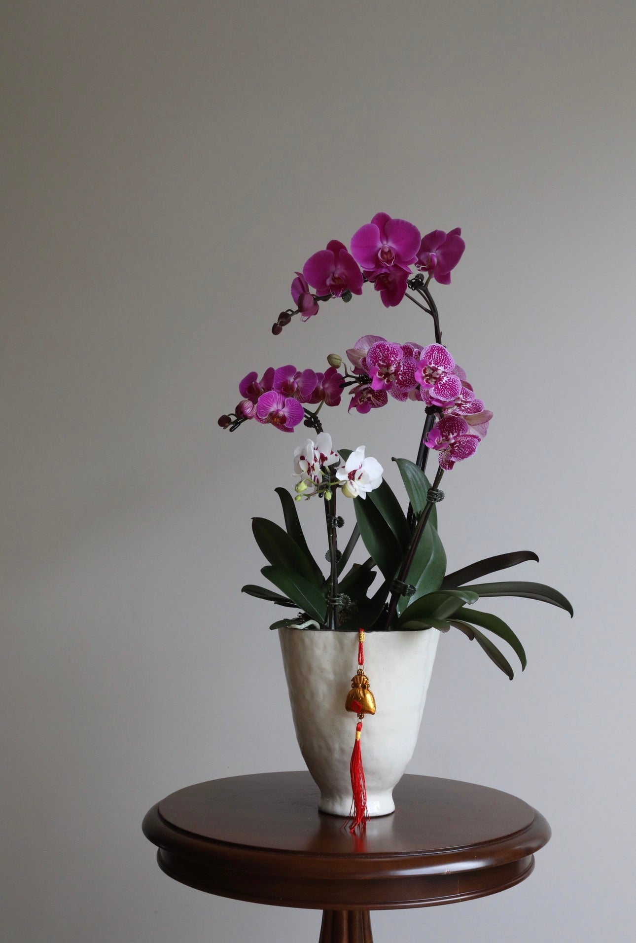 Orchid Harmony | 66cm x 36cm