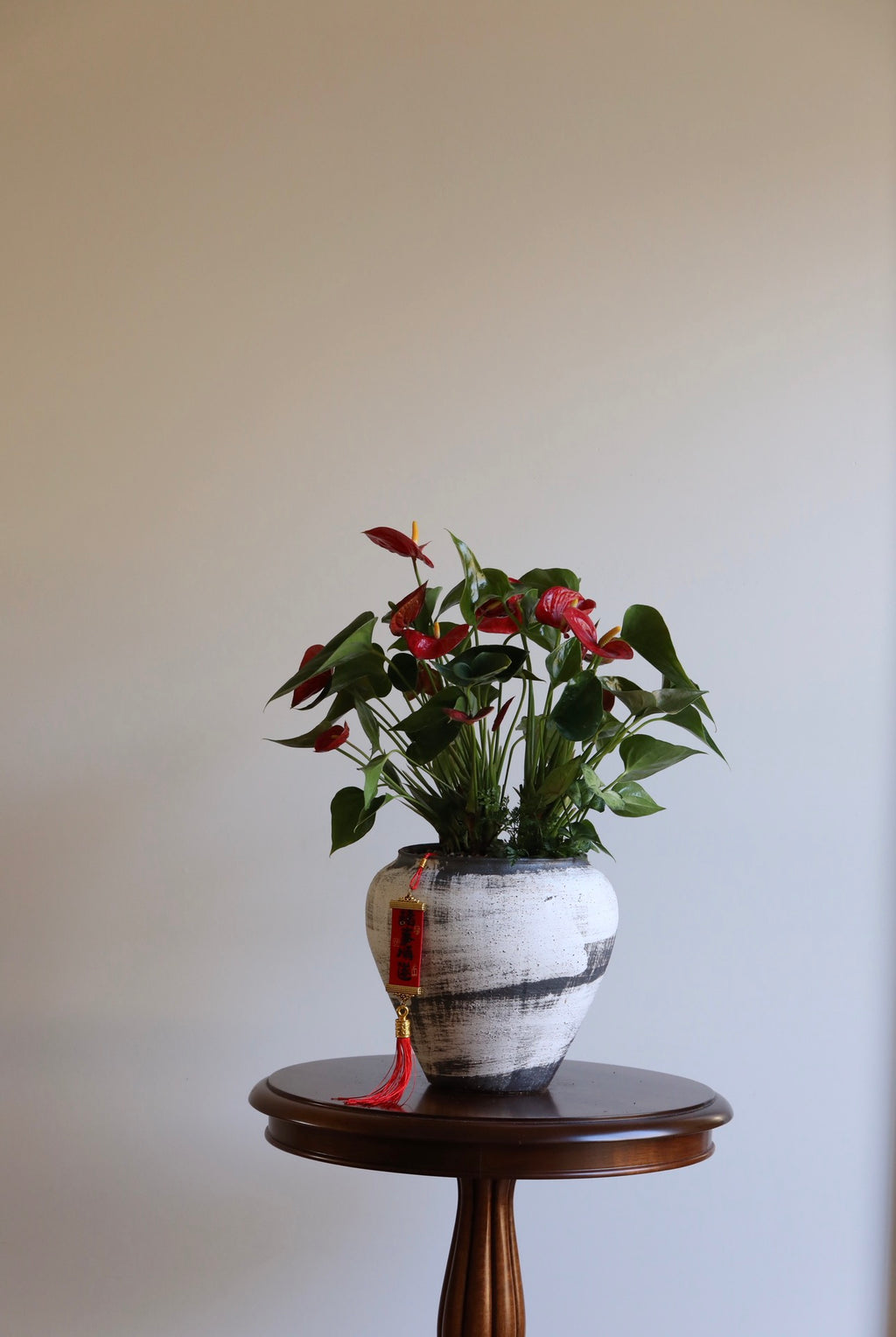 Crimson Blessing – Anthurium Arrangement | 52cm × 46cm