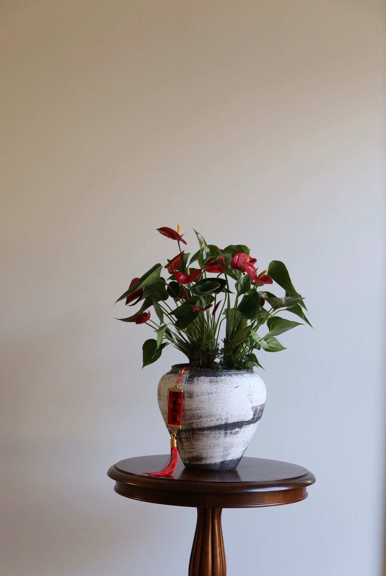 Crimson Blessing – Anthurium Arrangement | 52cm × 46cm