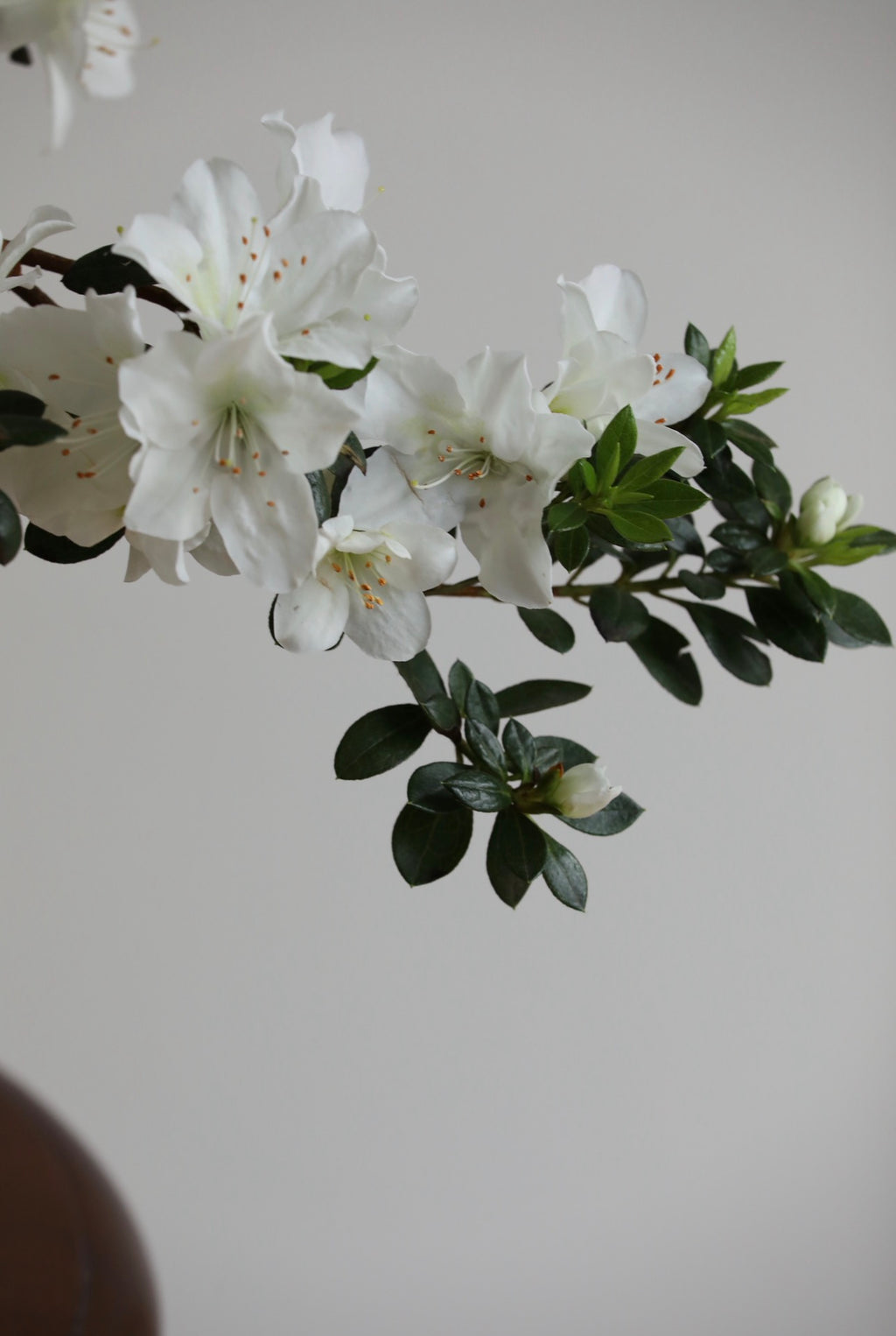 Snowfall — White Azalea Planter | 72cm x 62cm