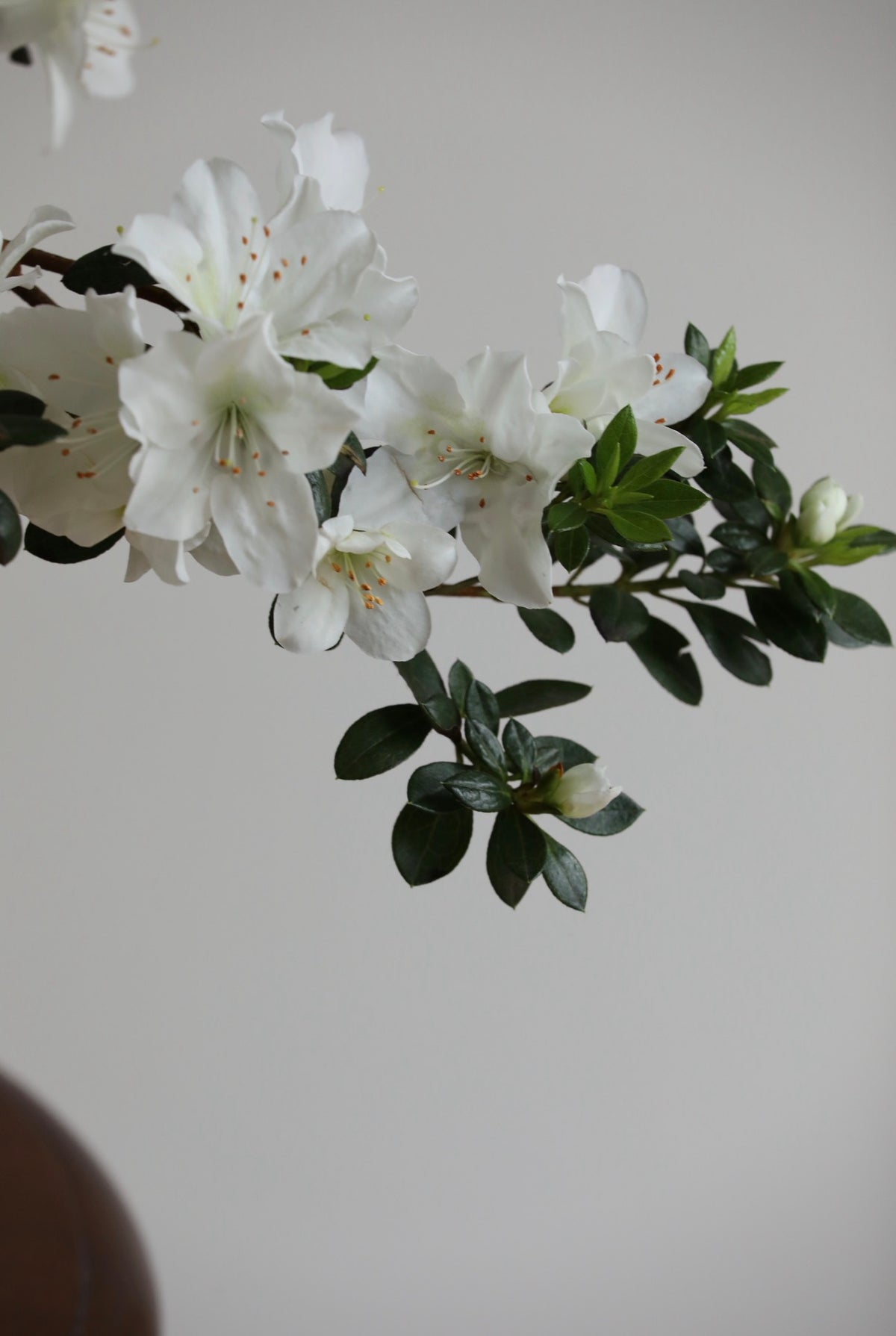 Snowfall — White Azalea Planter | 72cm x 62cm