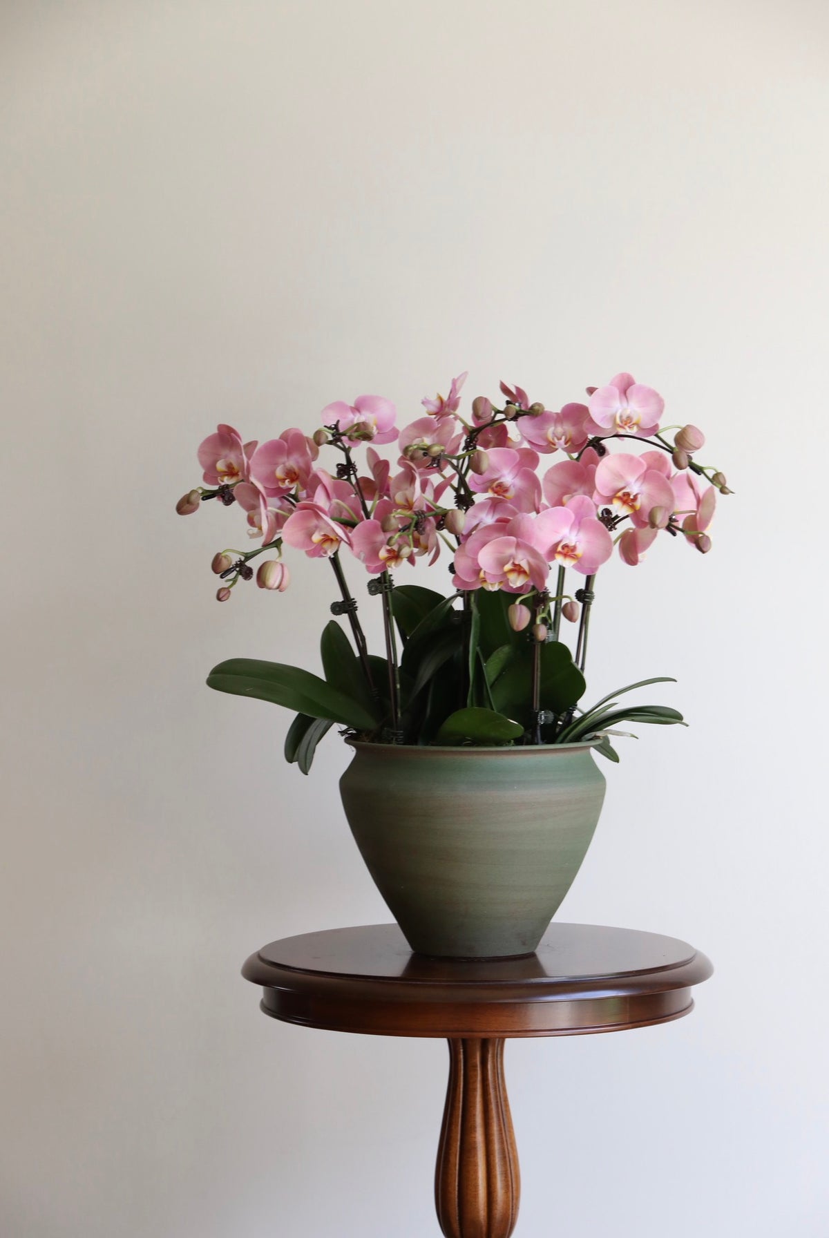 Peach Mist | 56cm × 56cm