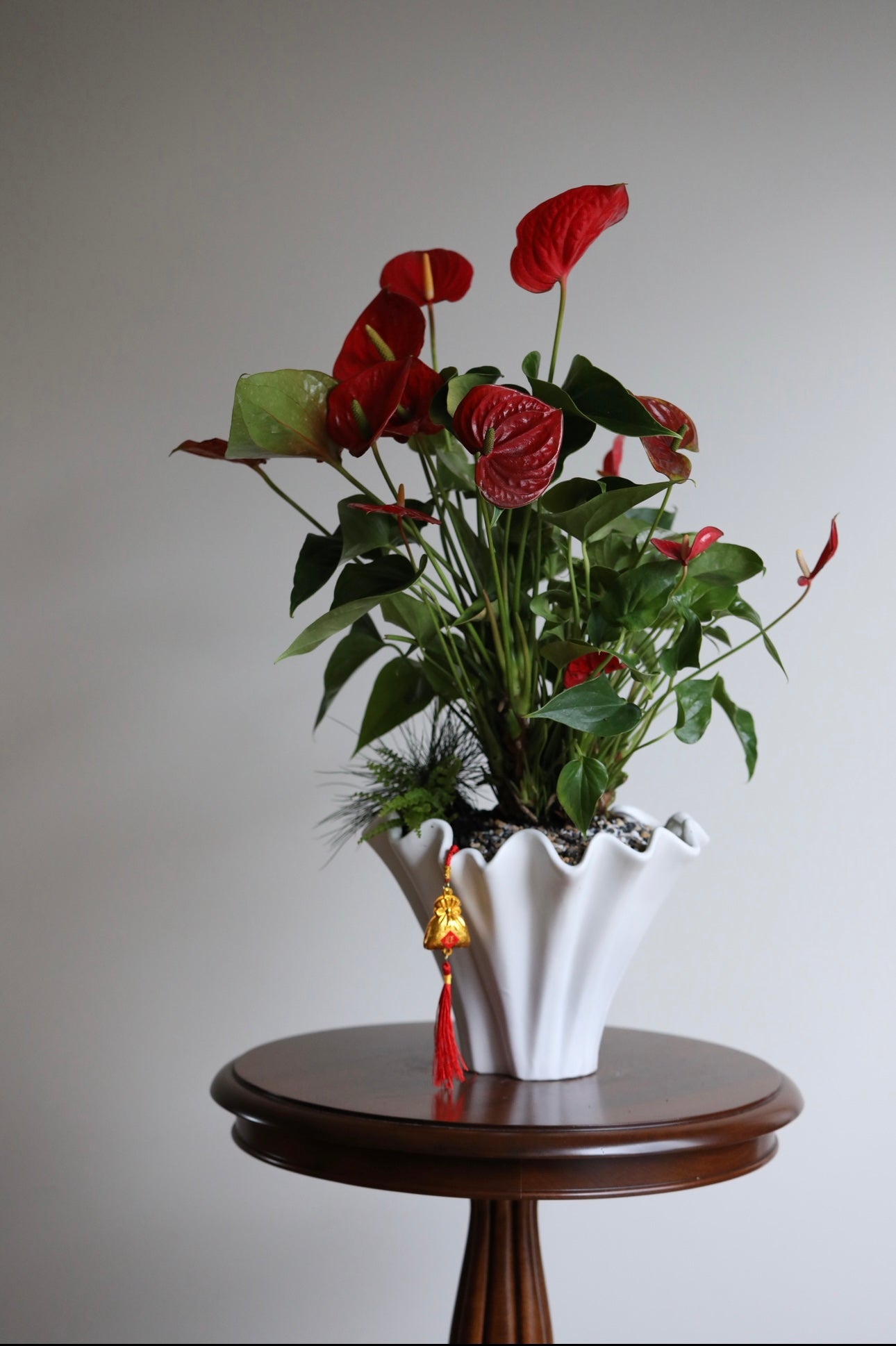 Scarlet Grace – Anthurium Arrangement | 66cm × 52cm