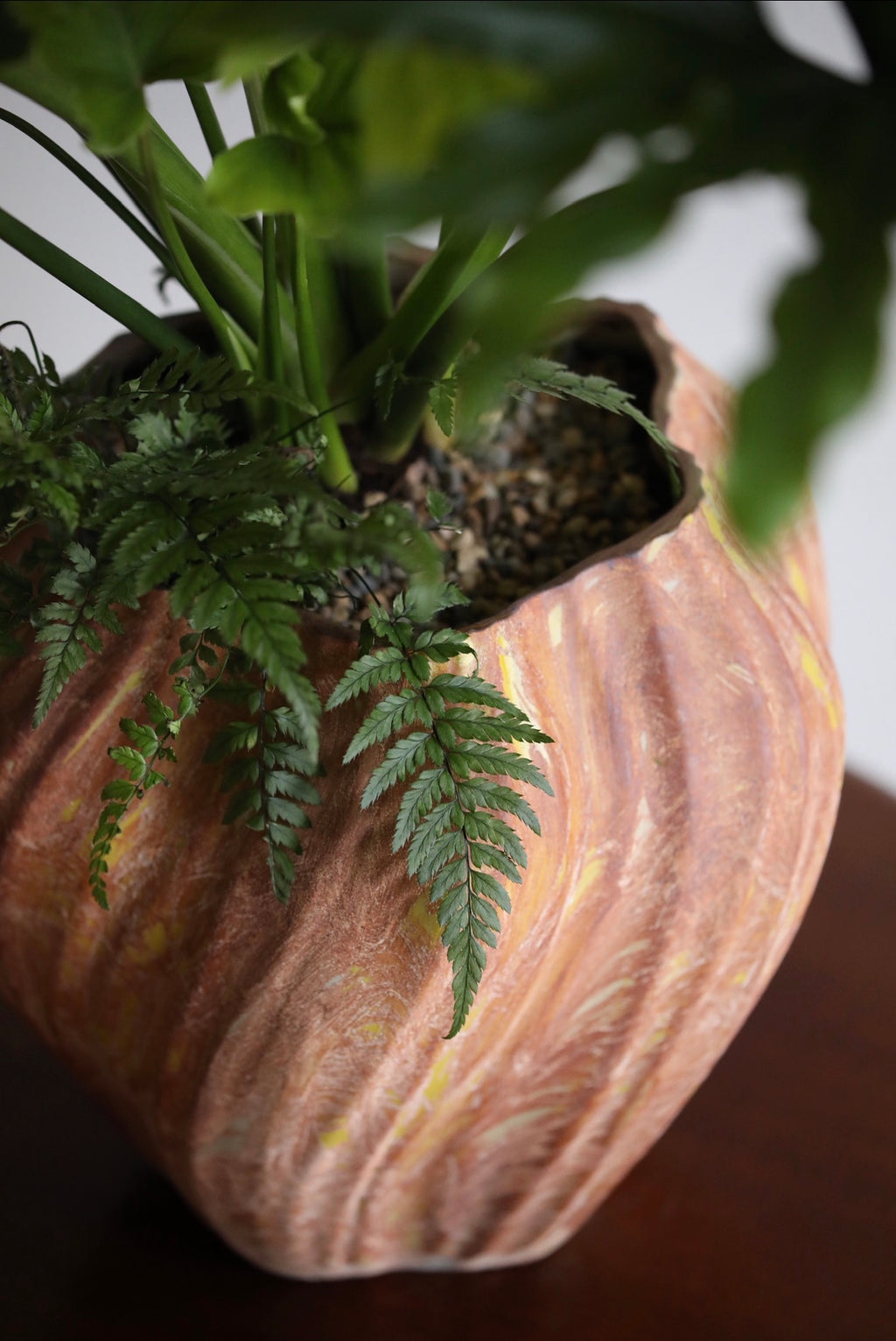 Evergreen Grace — Philodendron Hope & Fern Planter | 86cm x 80cm