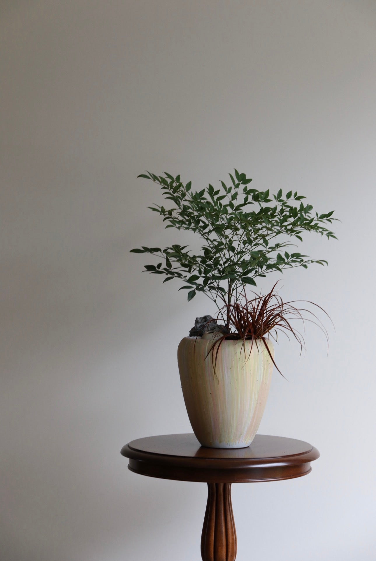 Emerald Breeze – Nandina Plant Arrangement | 62cm x 48cm
