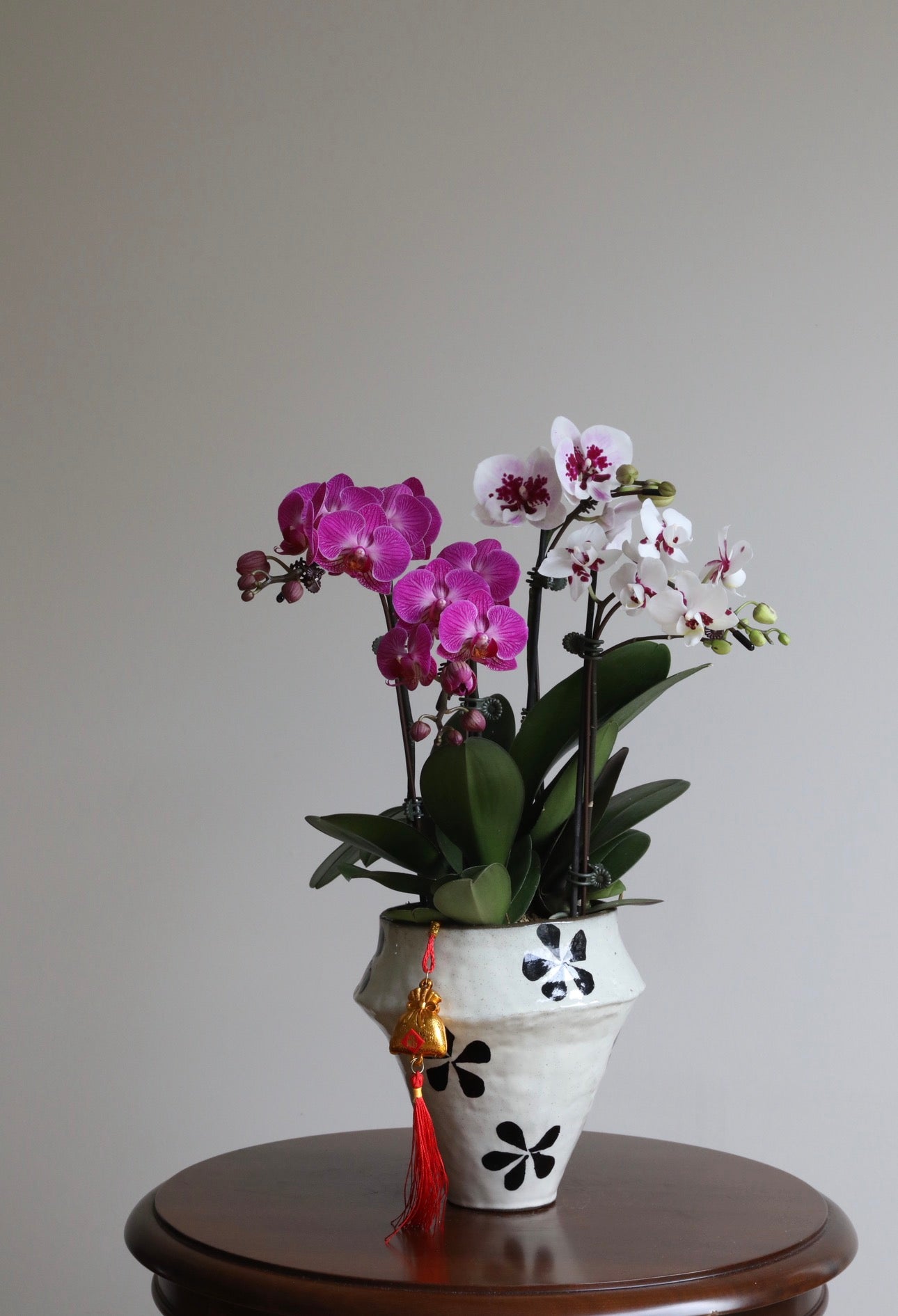 Petal Dance | 52cm x 32cm