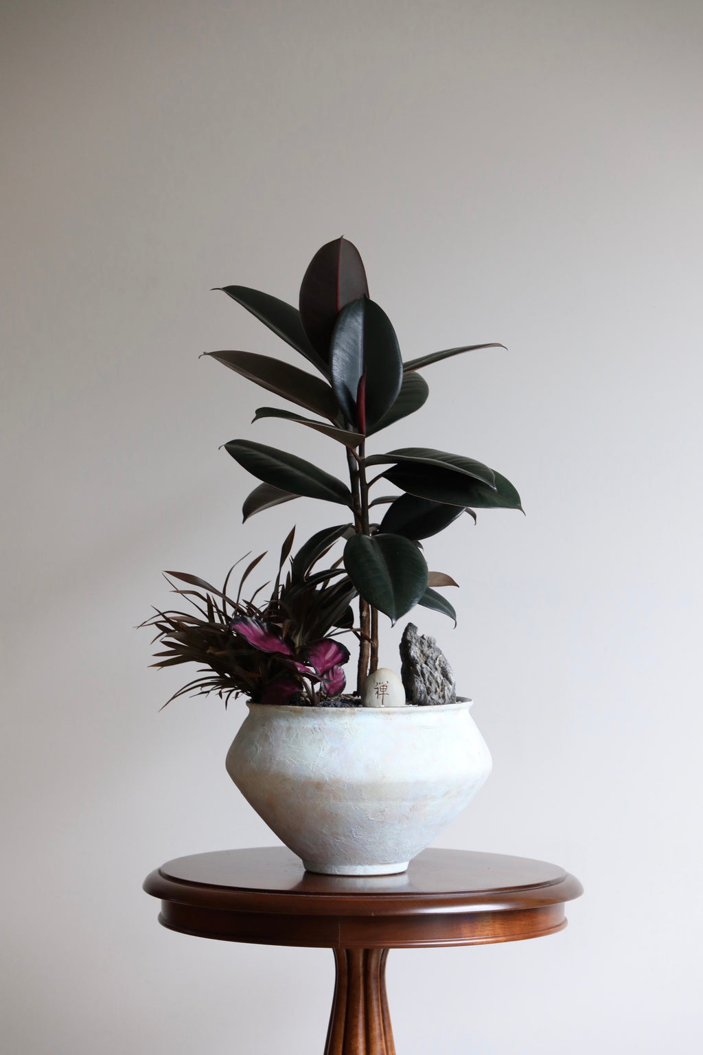 Midnight Zen – Burgundy Rubber Plant Arrangement | 66cm × 36cm