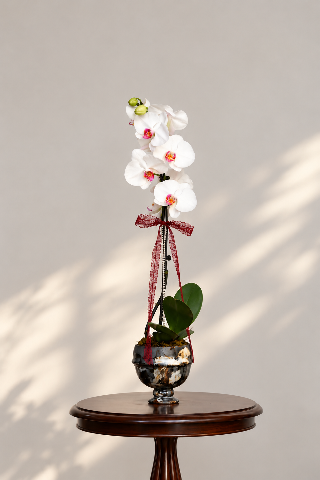 Ivory Whisper | 76cm