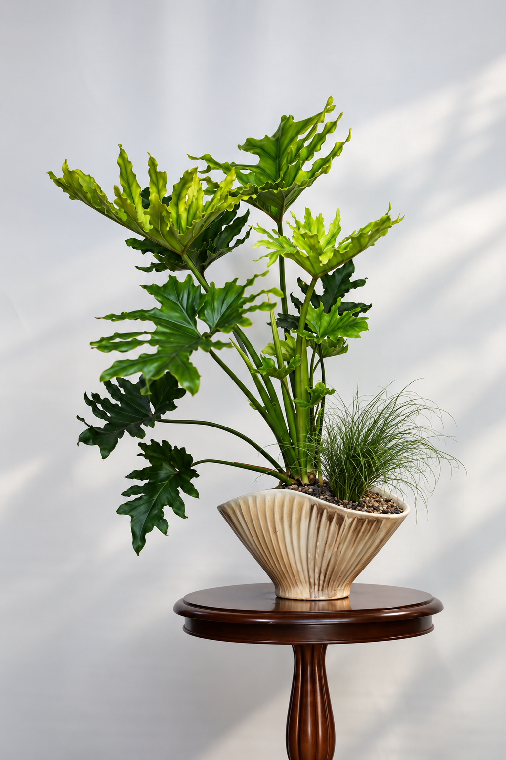 Emerald Waves – Philodendron Hope Planter | 82cm × 80cm